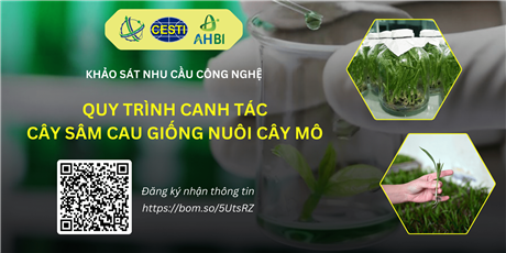Mời tham gia khảo sát nhu cầu chuyển giao “Quy trình canh tác cây sâm cau giống nuôi cấy mô”